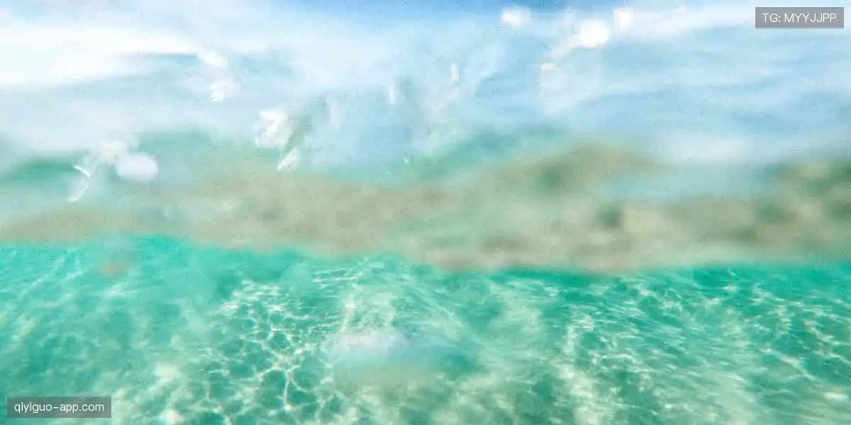 🎮 虚拟看台,弹幕狂欢,